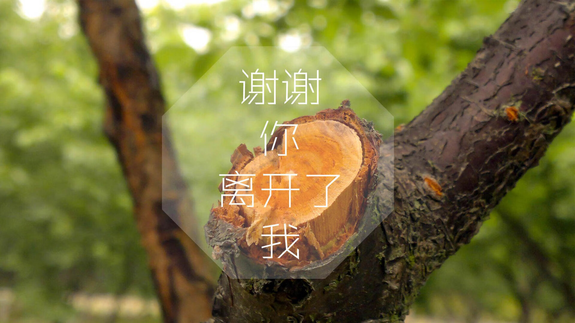 篮网再取关键胜利杜兰特状态神勇，杜兰特复出篮网胜