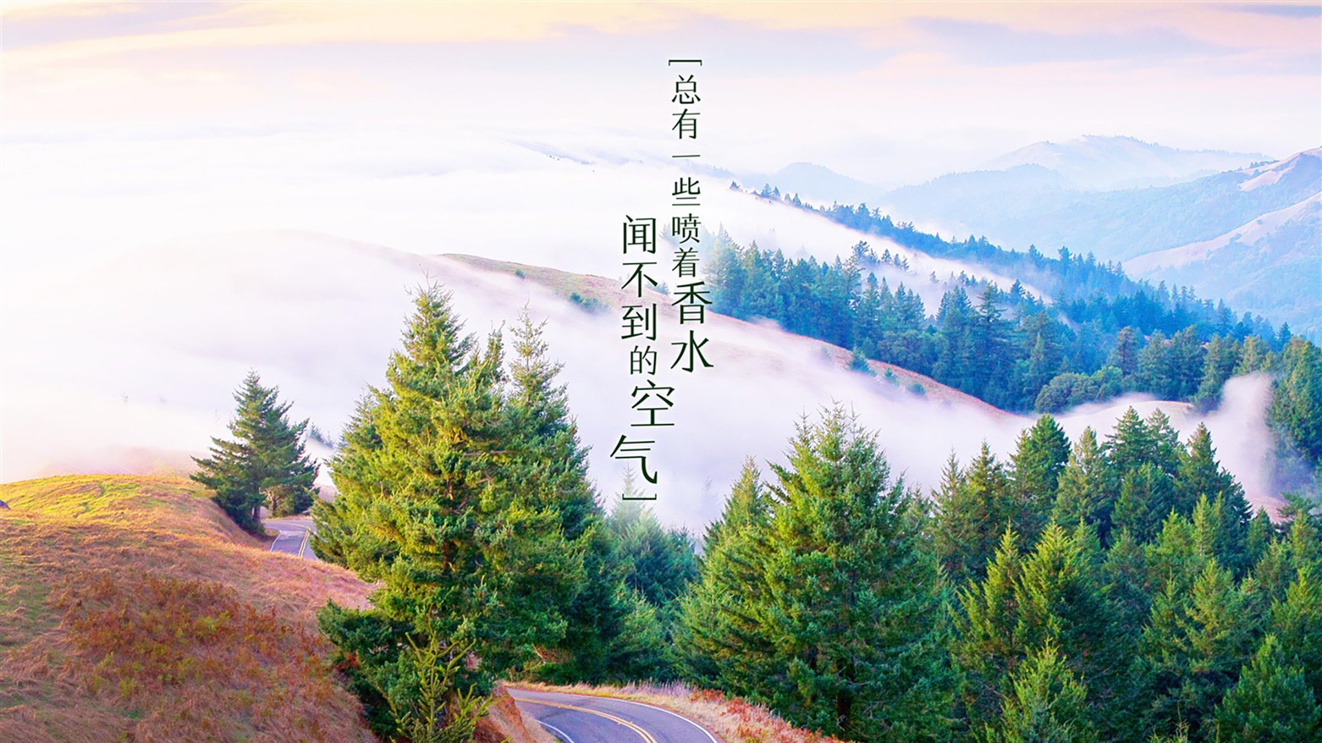 职业联赛球迷参与度为何难提升，职业联赛球迷参与度为何难提升呢