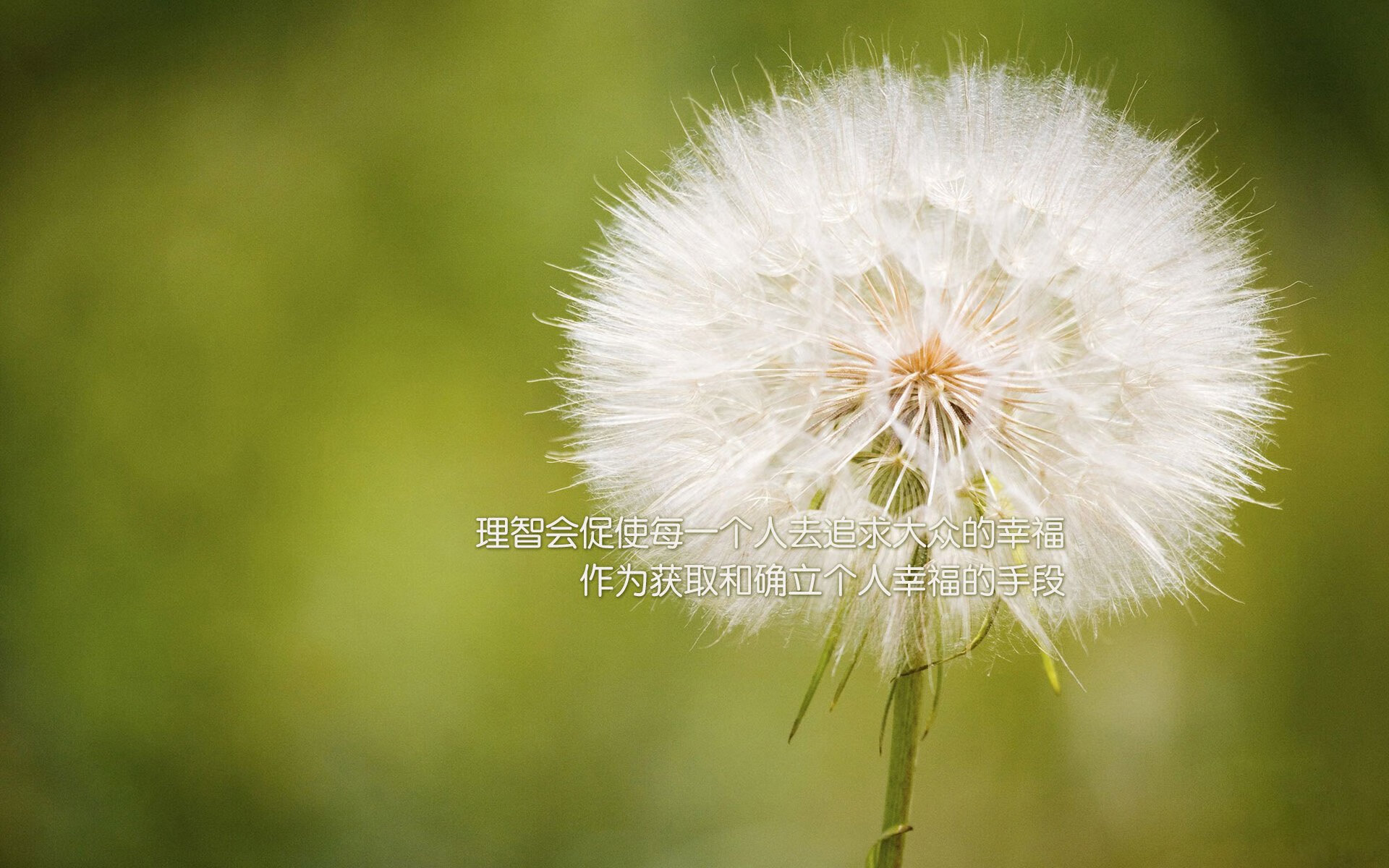 爱游戏中国官方网站平台-C罗再夺冠军世界杯，c罗世界杯冠军全场回播视频