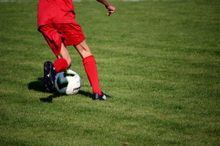 爱游戏官网-中国足球青训体系引进国际先进训练理念，中国足球青训体系是什么