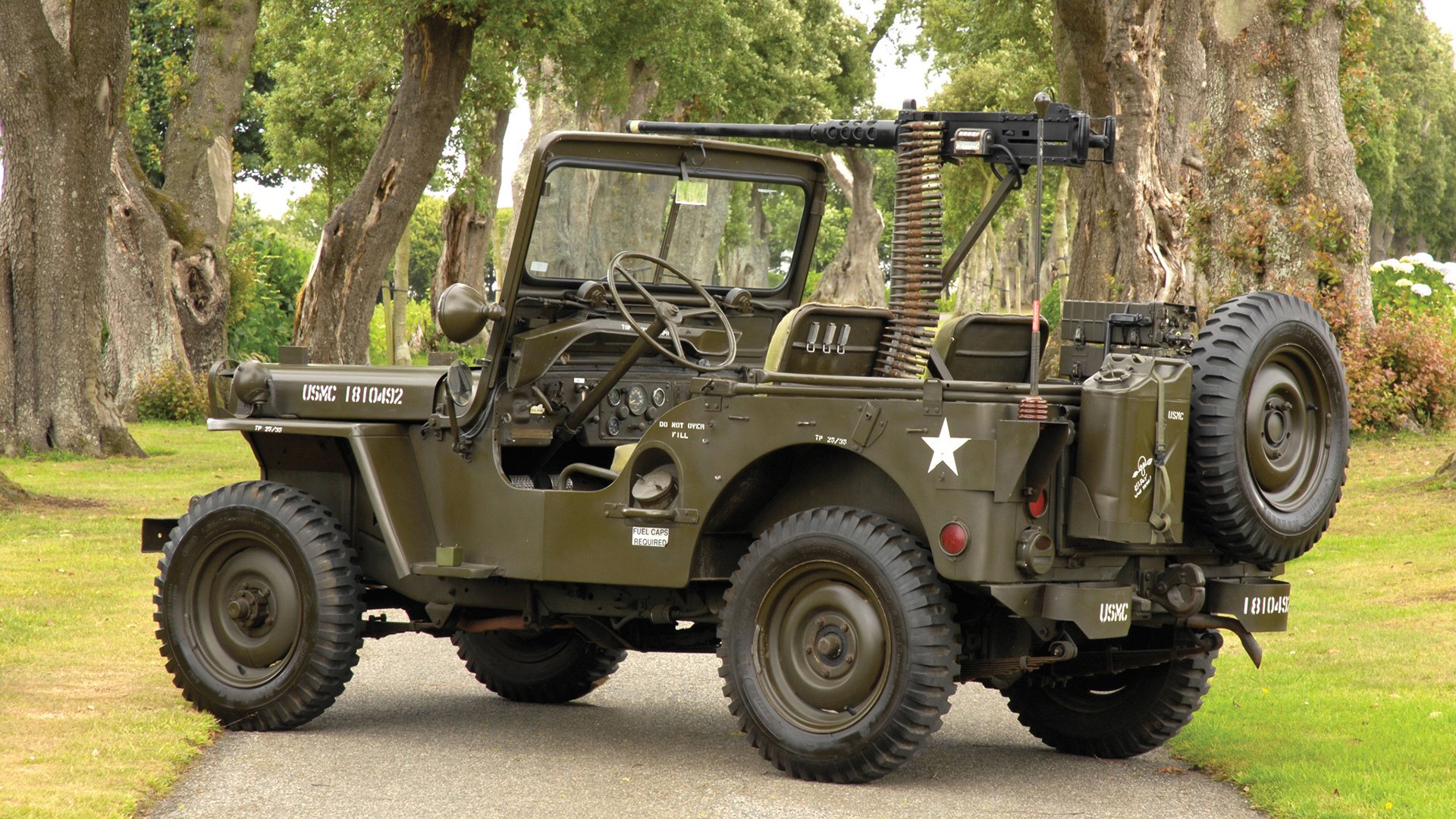 乌拉圭女篮在南美锦标赛中表现优异，迈向奥运梦想，乌拉圭篮球队