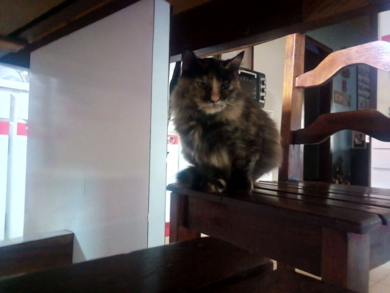 全黑队依靠全员参与防守，极大提升防线稳固性，全黑队服