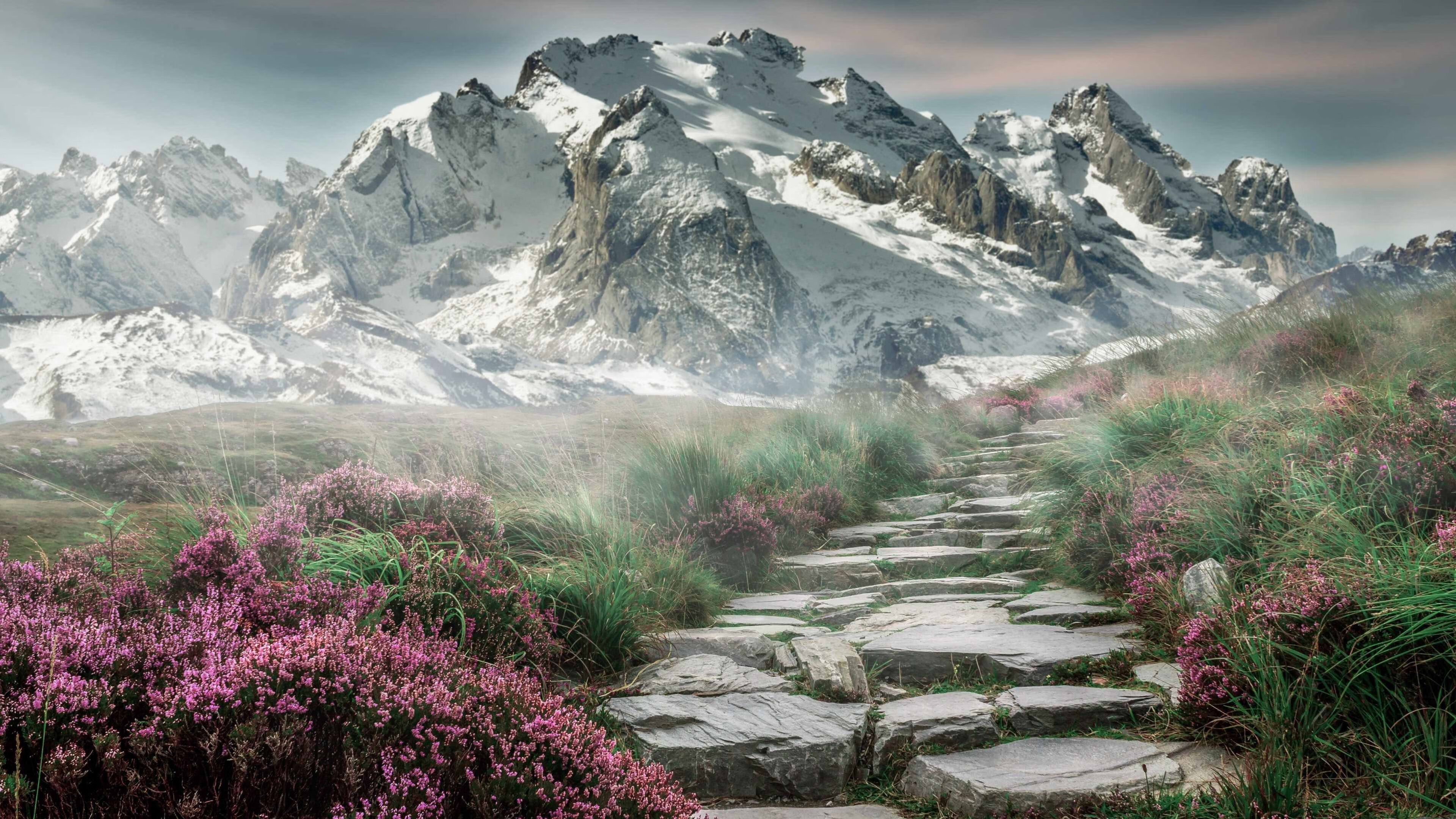 -女子英格兰队引领橄榄球职业化浪潮，英格兰橄榄球国家队