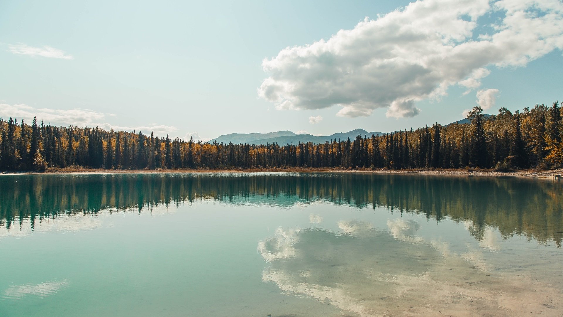 爱游戏体育app-巴西队在南美预赛中领先，提前锁定晋级资格
