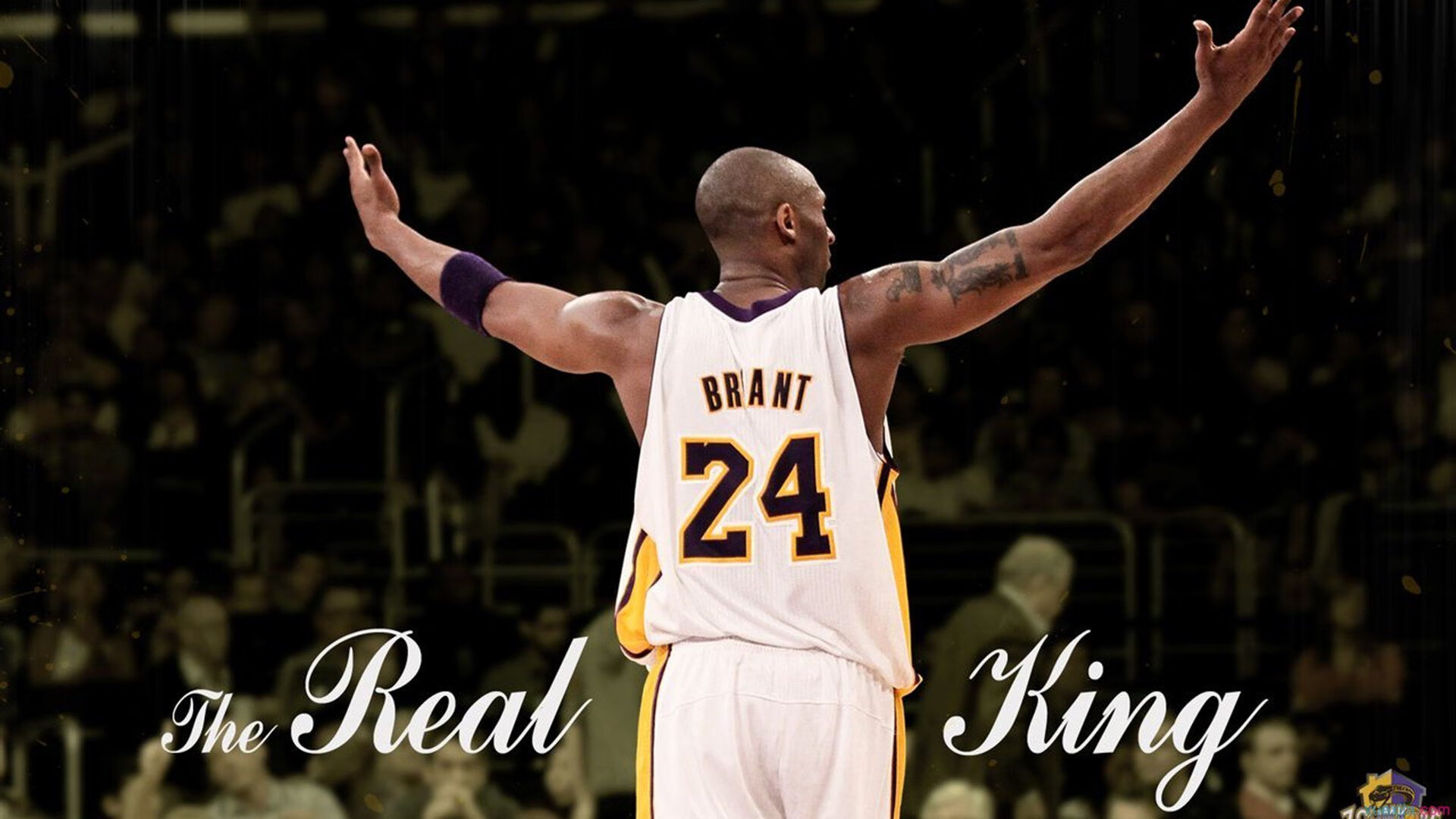 爱游戏电脑版官网-冰球联赛火爆开幕，南方城市首次承办，冰球 联赛